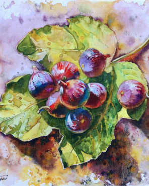 інжир аквареллю