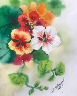 Настірція аквареллю