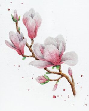 гілка магнолії